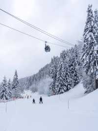 滑雪季來法國滑一次雪吧！谷雪維爾攻略
