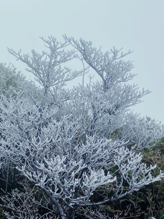 南方人自己的霧凇就在【石牛山】！|||