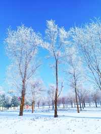 梅河口冬季初印象：吉林冰雪小城的魅力！