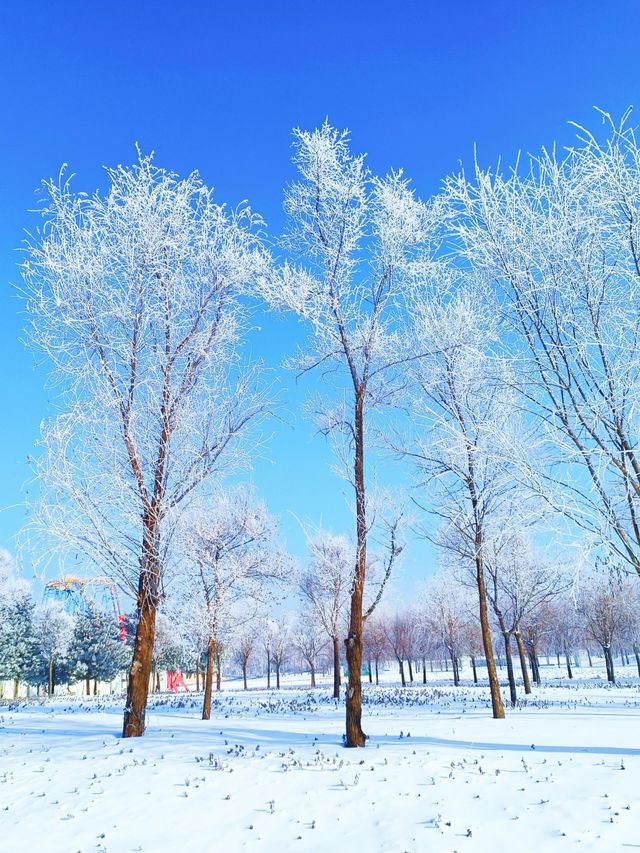 梅河口冬季初印象：吉林冰雪小城的魅力！
