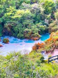新西蘭必打卡地熱溫泉公園Rotorua