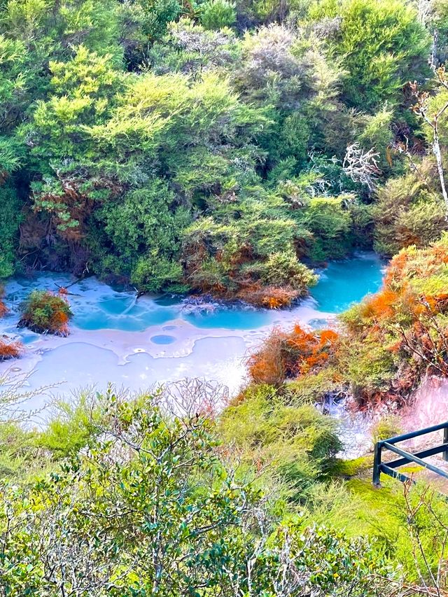 新西蘭必打卡地熱溫泉公園Rotorua