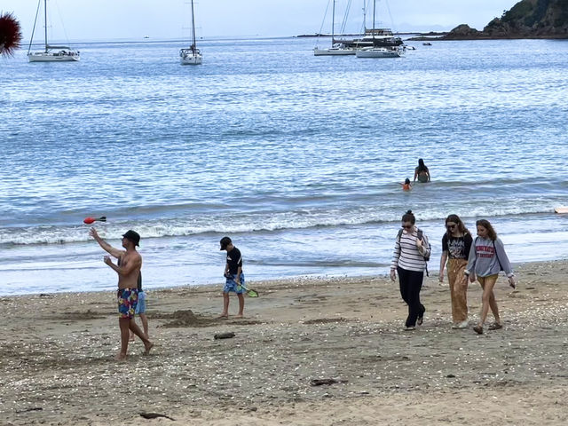 ONEROA 海灘直通海景大道 激流島 奧克蘭