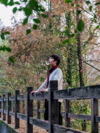 重慶主城區的後花園| 冬天也能出片的寶藏公園