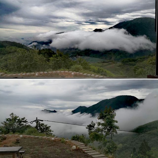 “雲海”茶室喝茶、看書…