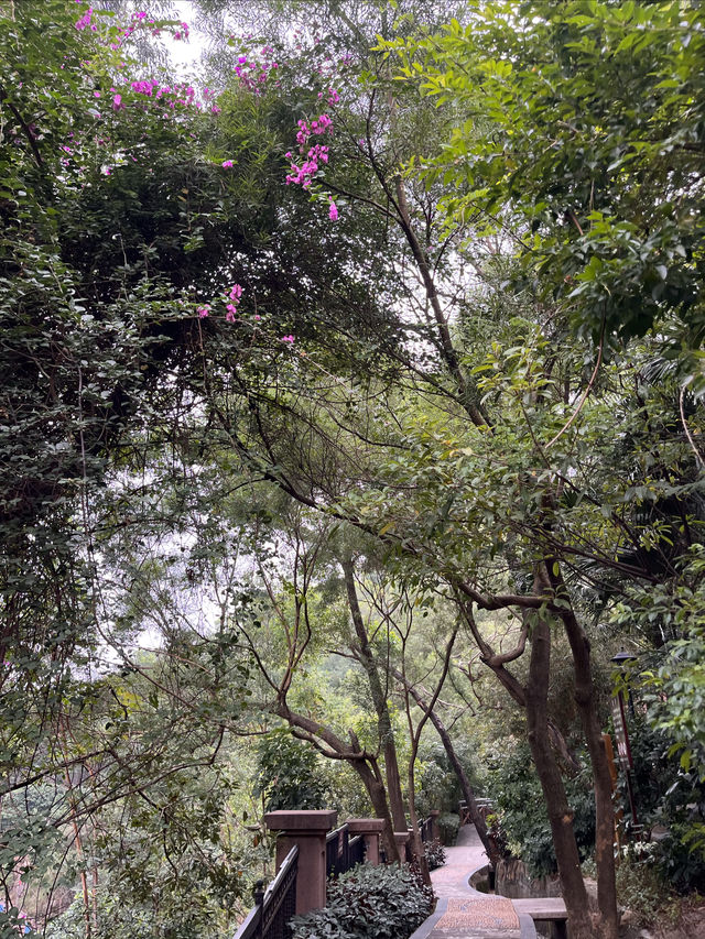 石花山公園 石花山公園