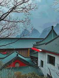 山間旅居，一半風景，一半仙境