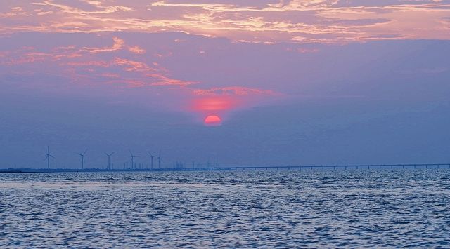 小眾的島嶼，人少景美，在上海免費看大海