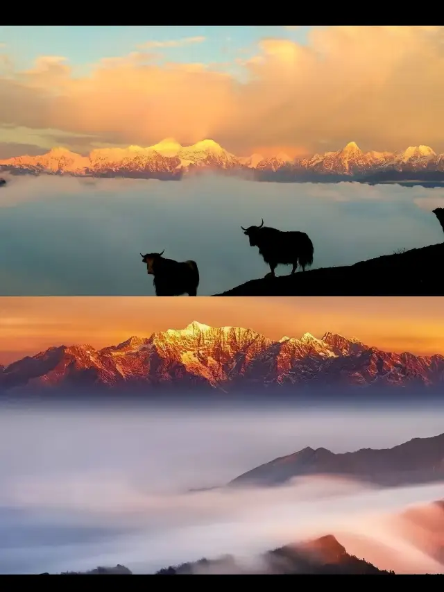 ウシノセヤマ·スターペルホテル