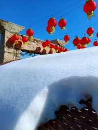 十五年一遇的雪與海與懷舊的民宿的兩天