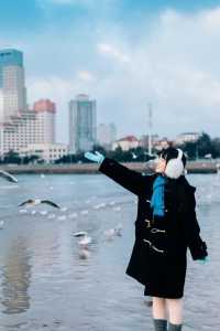 青島海岸終於被我找到了！