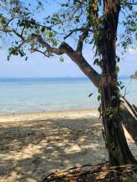 Must to do in Krabi!!!