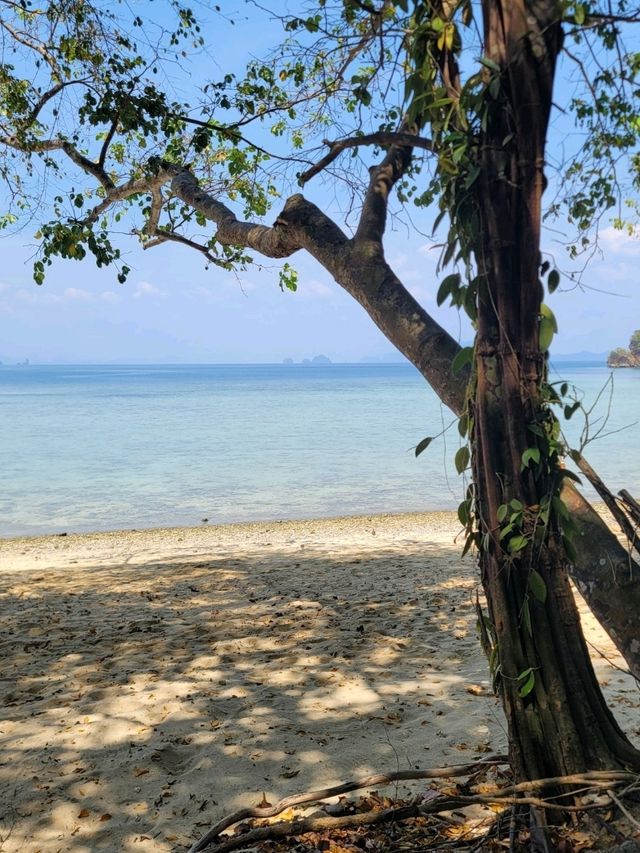 Must to do in Krabi!!!