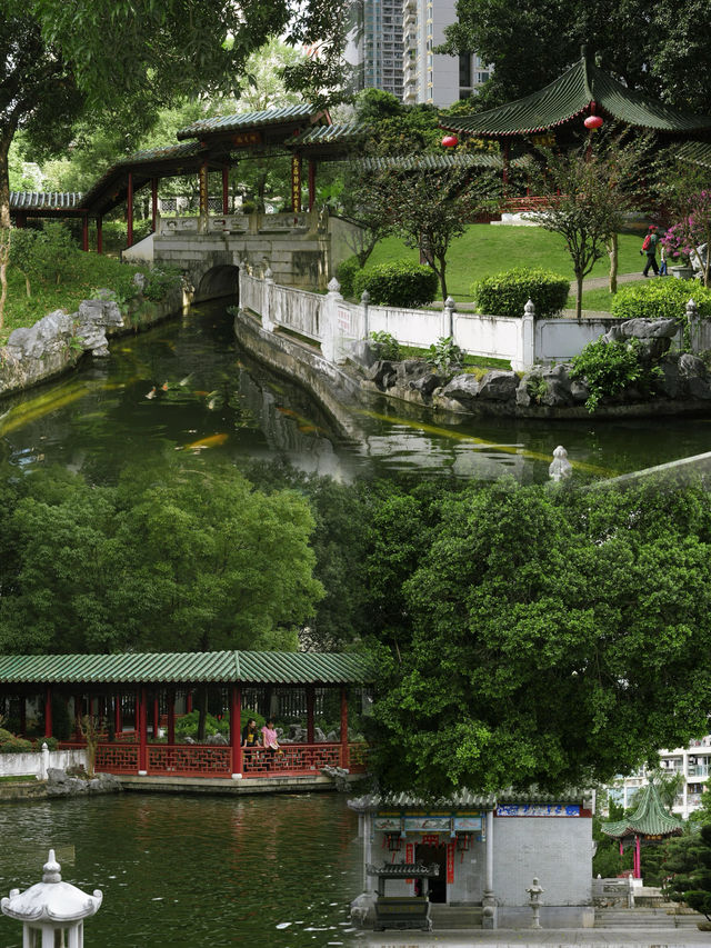 深圳“小蘇州”，藏在市中心的隱世園林！