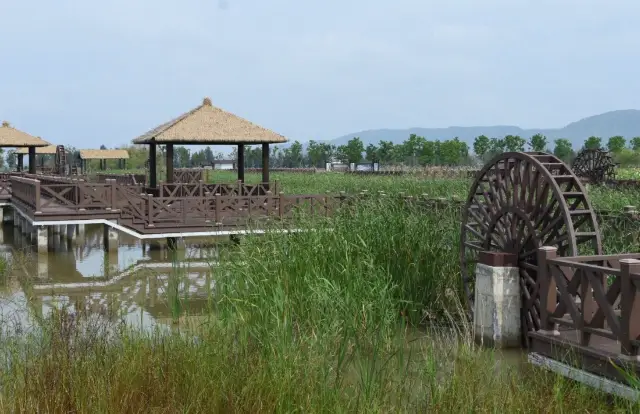 不愧是浙江浪漫公園，恍若山海一色！