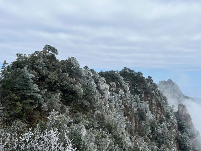 廣東又降溫了！這不得抓住最後的機會去看雪！