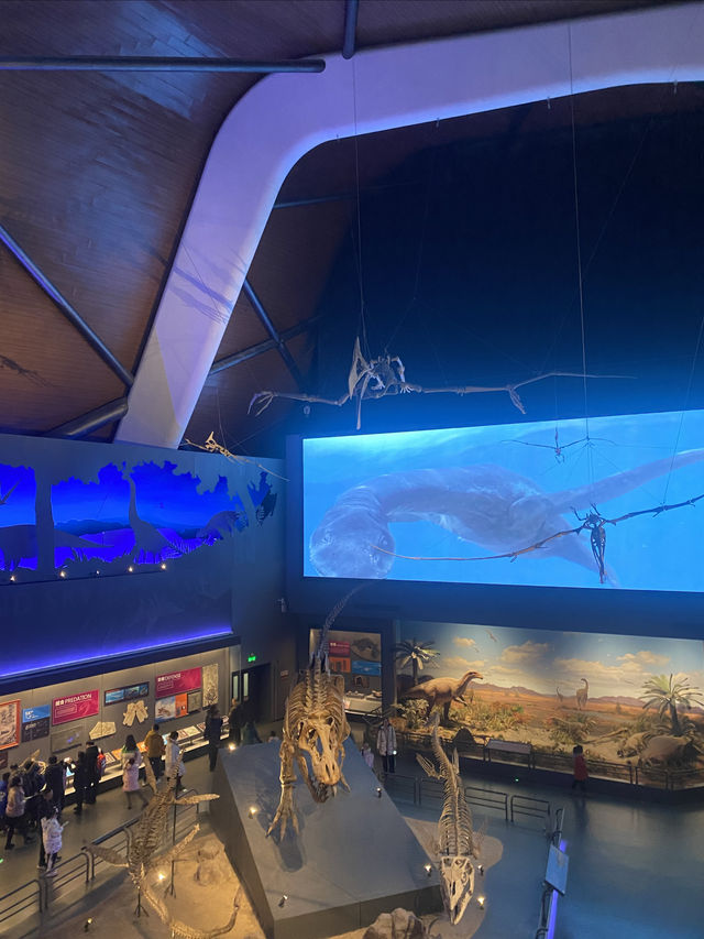 天津｜讓小朋友旅行更有意義～國家海洋博物館