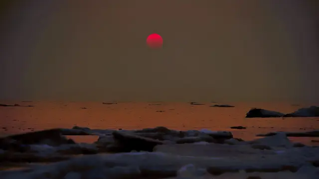 Sunrise and seagulls