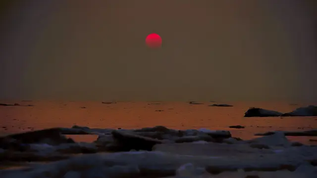 日の出とカモメ