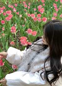 重慶動物園的鬱金香也太美了吧！