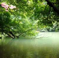 Wonders of Palawan's Underground River 