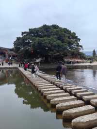 雲水謠土樓群