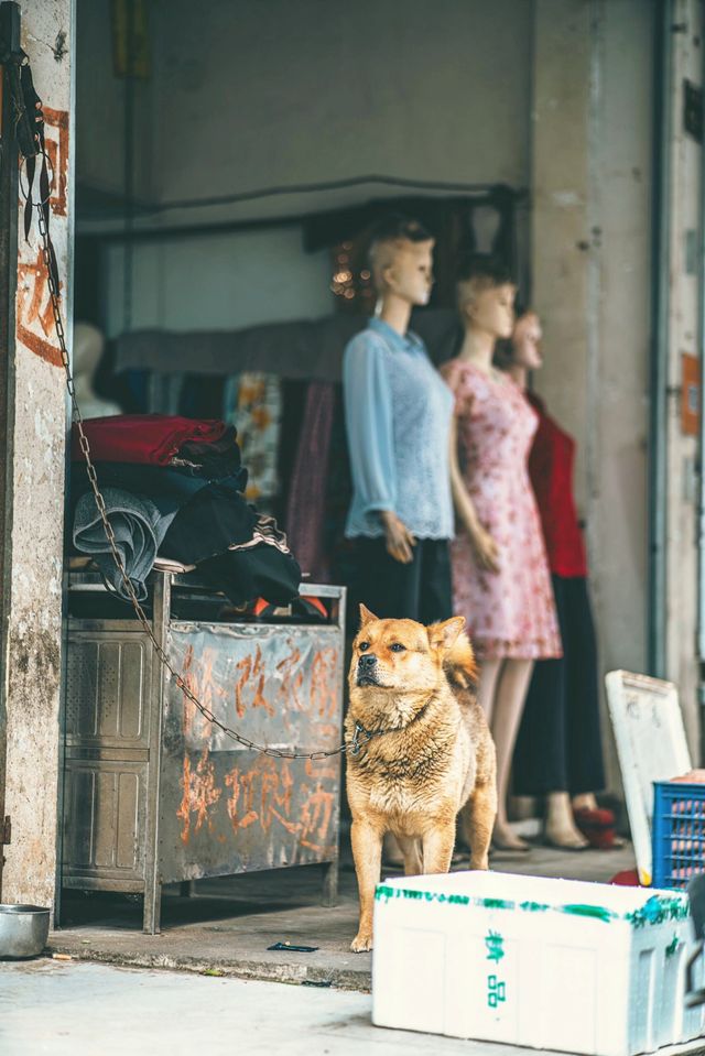 赣州歲月流影｜老城區的時代記憶