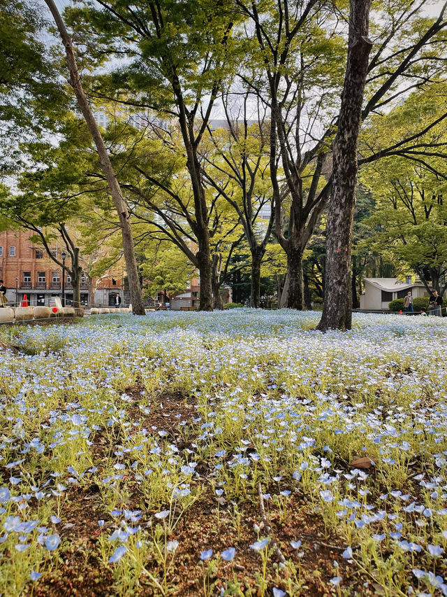 東京行｜城市中心的心願公園，打卡日比谷公園！