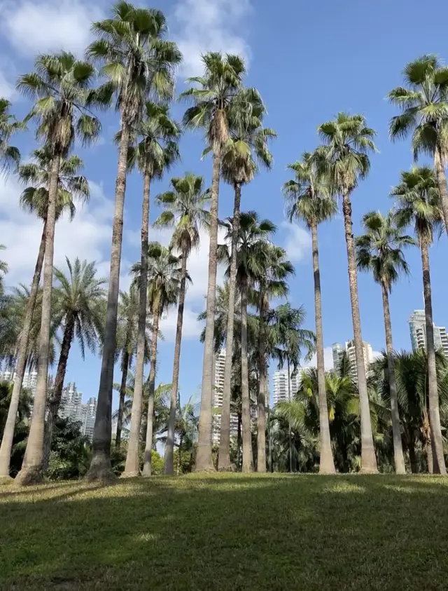 This must be the best park in Guangzhou for slacking off