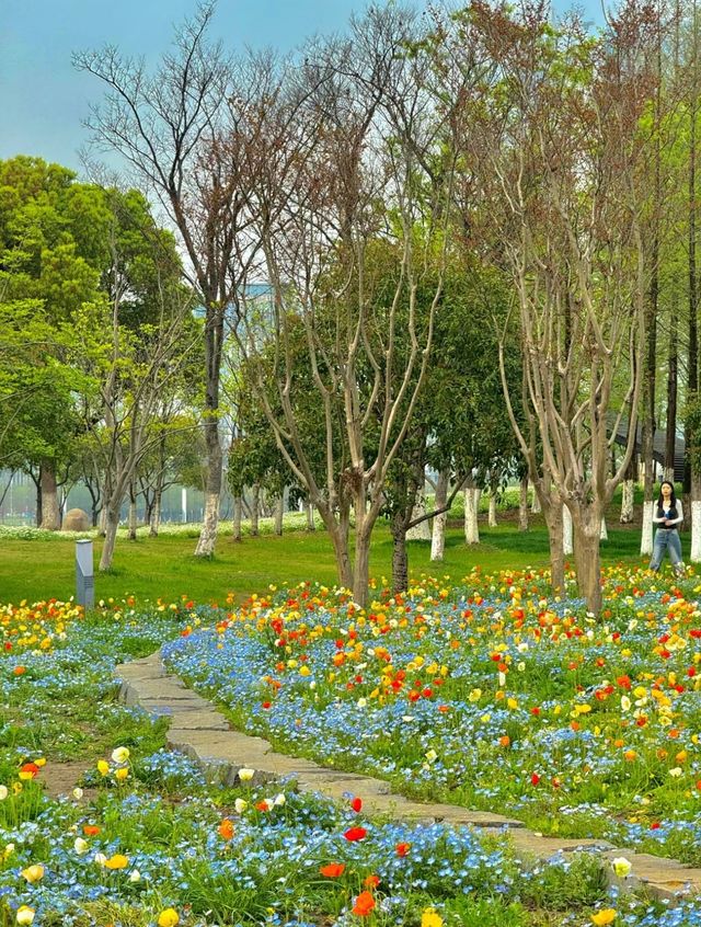 蘇州的莫奈花園，美不勝收！