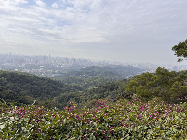 廣州白雲山遊玩親子絕佳路線