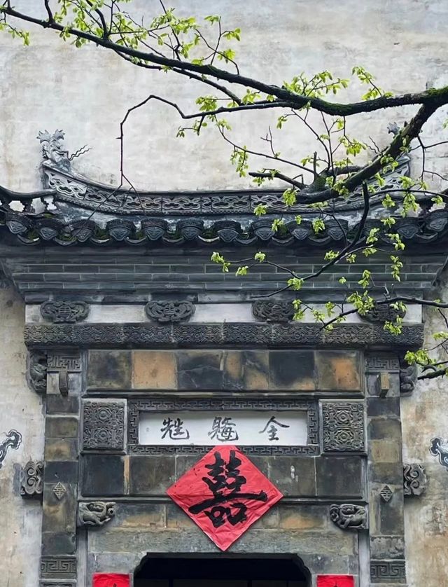 三月賞花去篁嶺，萬畝油菜花海