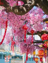 環球影城過中國年春節帶父母趕大集迎新春