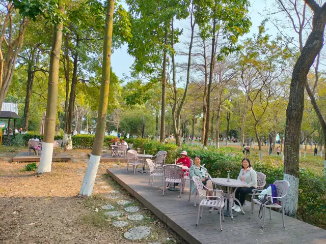 Stroll through Haizhu Lake Park and have a beautiful encounter with nature