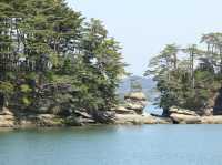 探索松島：260座島嶼的魅力