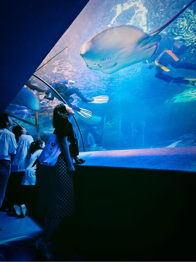 帝都citywalk穿越皇家御河