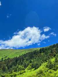 「今年還有什麼理由錯過川西治癒的夏天」