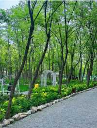 北辰噴獸森林公園 野餐露營 充實的一天