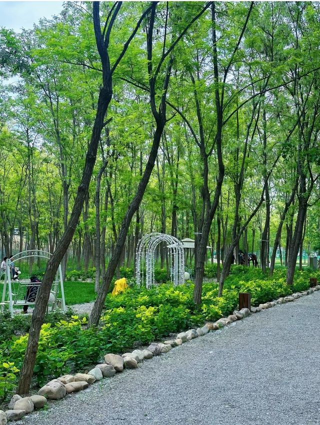 北辰噴獸森林公園 野餐露營 充實的一天 北辰噴獸森林公園 野餐露營 充實的一天