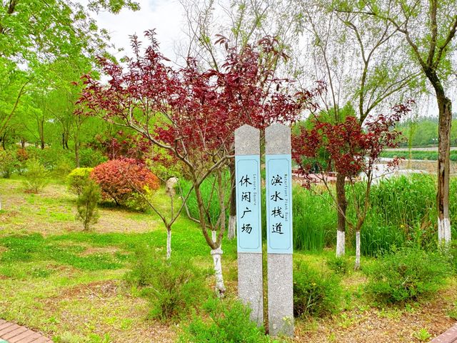 皂戶河公園：夏日清涼綠洲，一遊盡享自然魅力！