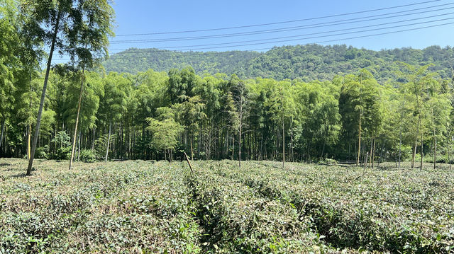 川步村，徒步旅行必打卡地