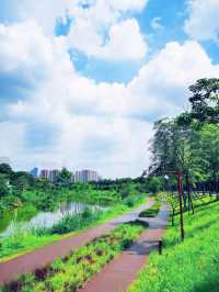 我宣布！ 大沙河生態公園是深圳公園的天花板！