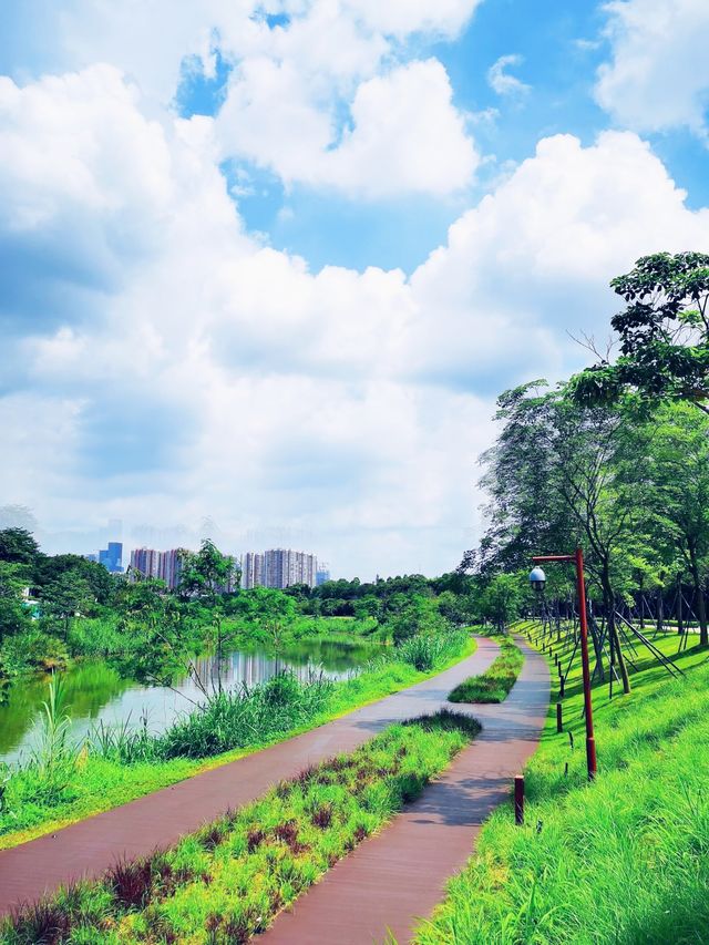 我宣布！ 大沙河生態公園是深圳公園的天花板！