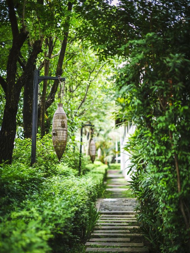🌟 Siem Reap's Anantara: A Love Letter to Luxury 🌟