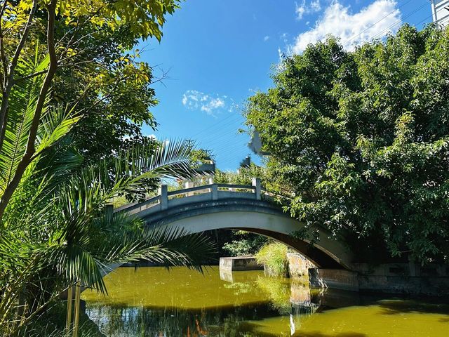 楚雄龍江公園，被睡蓮環繞的休閒好去處