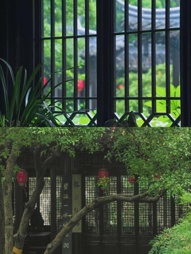 泰州 在拙政園人擠人不如在喬園享一方寧靜
