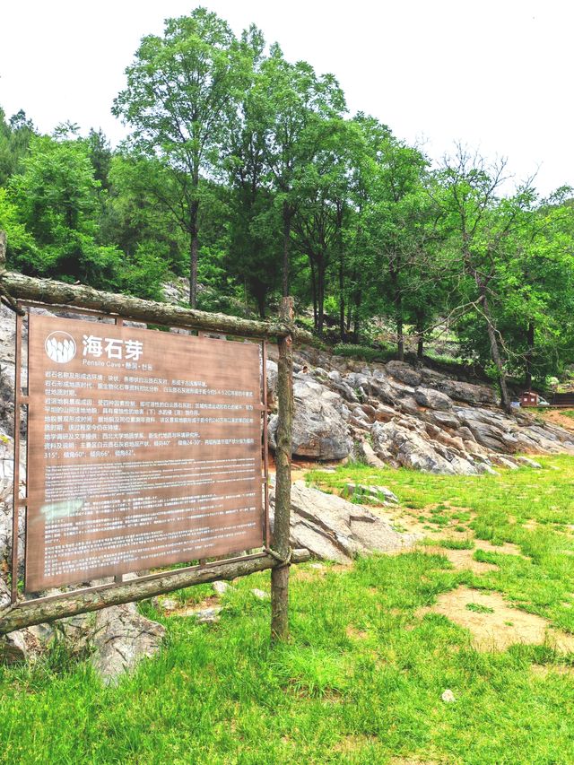 西安周邊旅遊地推薦—江山，如此多嬌！