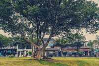 穿越都市喧囂，邂逅鄉伴蘇家理想村
