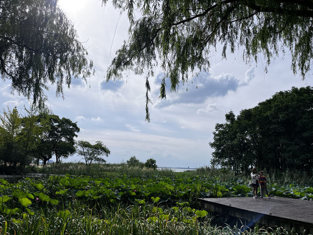 真是寶藏地—人少景美的巴城生態濕地公園