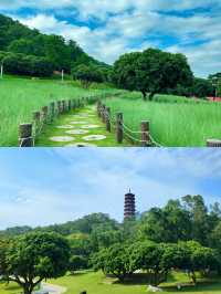 闖進宮崎駿的夏天深圳紅花山公園